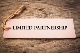 the-limited-partnership-in-germany