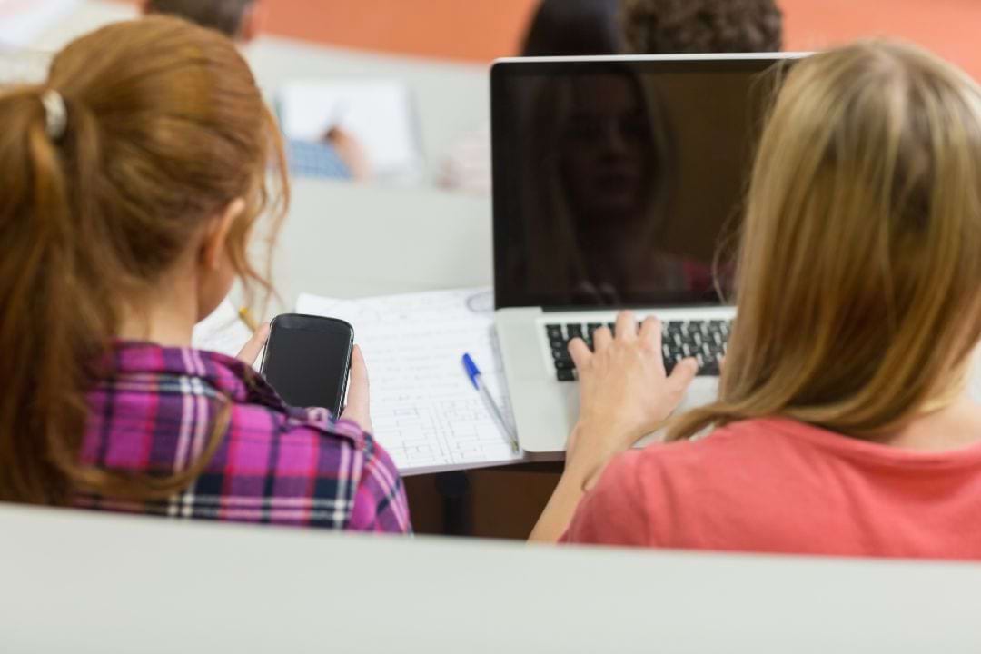 fewer-students-pursued-stem-related-courses-in-2021-destatis-revealed